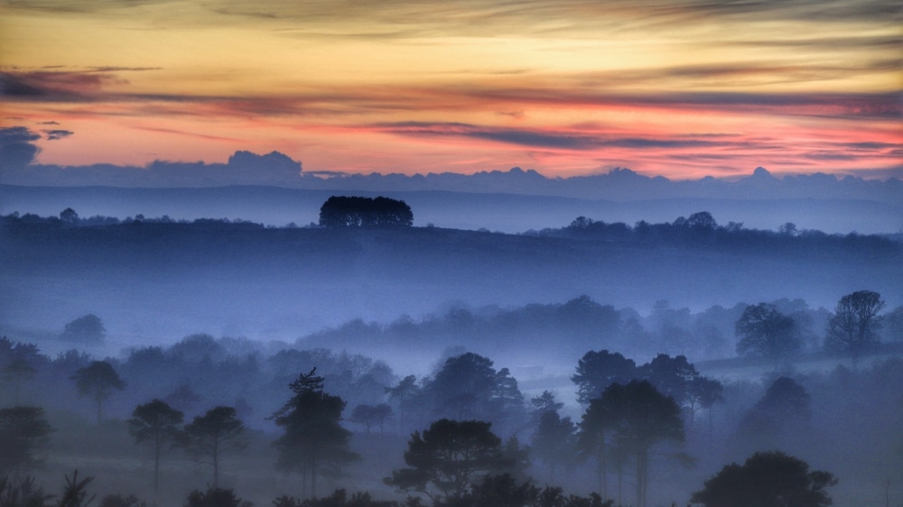 Ashdown forest faces difficult New year after losing funding